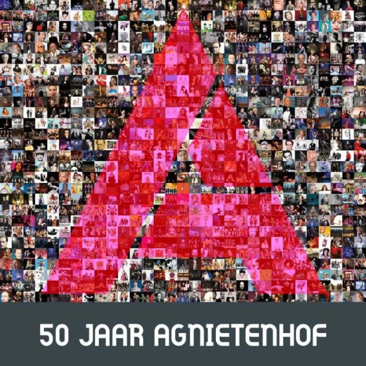 Theater Agnietenhof in Tiel 50 jaar